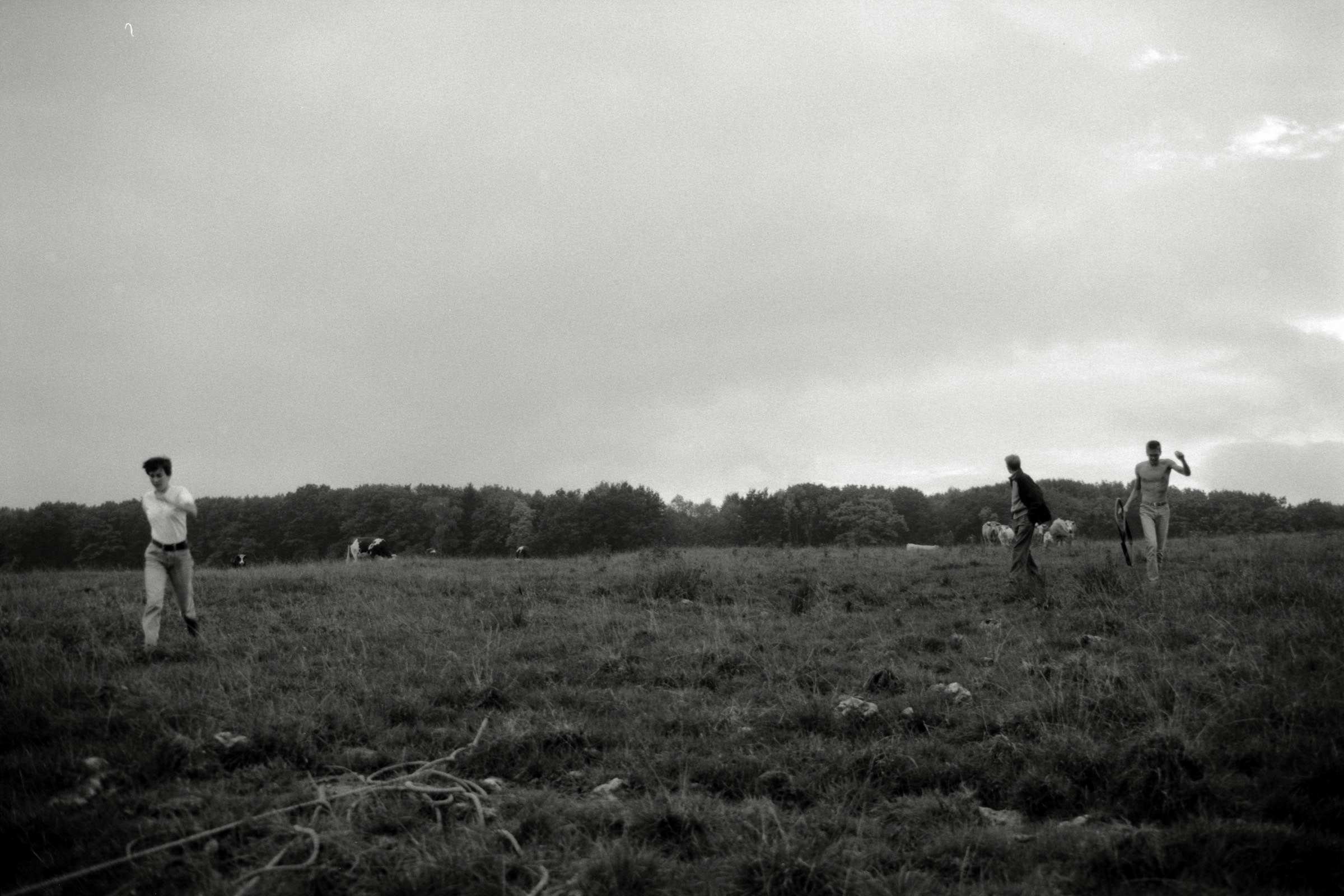 AHP F1990 09 005 sc250506 img27 NLP